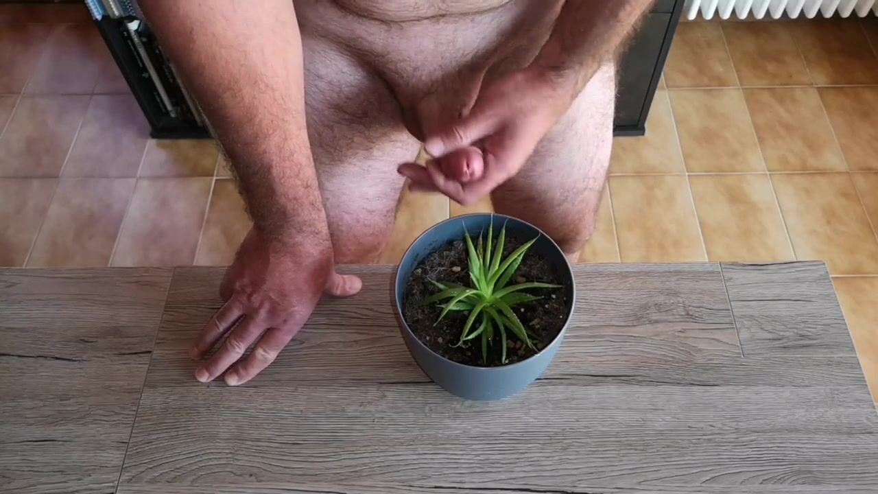 Cicci77 feeds her plants with pee and sperm to make them luxuriant! It is a shame to waste our precious organic liquids! watch online picture