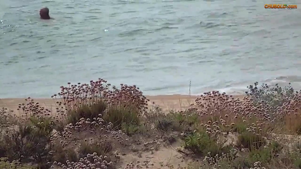 incontrarsi in spiaggia